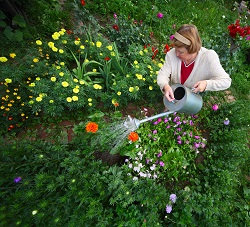 Best Landscape Gardening Ideas in Putney, SW1