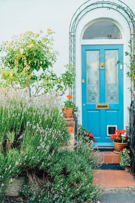 A vibrant front garden featuring a bright blue entrance door with a brass mail slot and knocker, set within a white curved archway. In front of the door, terracotta tiles form a small patio area bordered by potted plants with red and pink flowers. To the left, lush green shrubs and lavender bushes with tiny purple flowers grow alongside the paved pathway, creating a textured and colorful border. A tall, leafy shrub with light green leaves and delicate white flowers stands near the edge of the garden, providing height and structure. The scene is illuminated by soft natural daylight, highlighting the fresh greens of the plants and the vivid color of the door, exemplifying well-maintained garden landscaping and outdoor care. The garden appears tidy and thoughtfully arranged, reflecting professional gardening work by Gardeners Putney, specializing in garden maintenance, landscaping, and lawn care, capturing a charming and inviting outdoor space typical of Putney High Street front garden ideas.