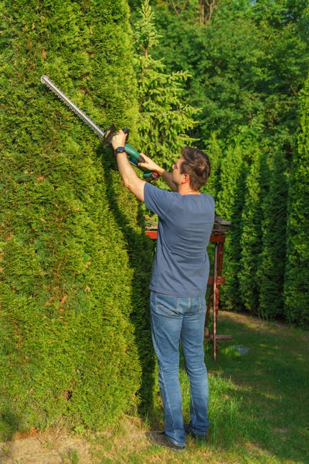 A man in casual clothing, wearing a blue t-shirt and jeans, is trimming a tall, dense hedge with a long-handled electric hedge trimmer in a well-maintained garden. The hedge consists of bright green, leafy foliage, and the man is carefully shaping the top and sides. The garden features a lawn, and in the background, there are several other trees and hedges, suggesting a spacious outdoor area. The sunlight filters through the trees, casting natural light on the scene, highlighting the textures of the trimmed leaves, the grass, and the soil underneath. This image illustrates professional garden maintenance and hedge trimming work, showcasing the clean cuts and tidy appearance achieved through proper landscaping tools, with the assistance of Gardeners Putney, a company specializing in gardening services.